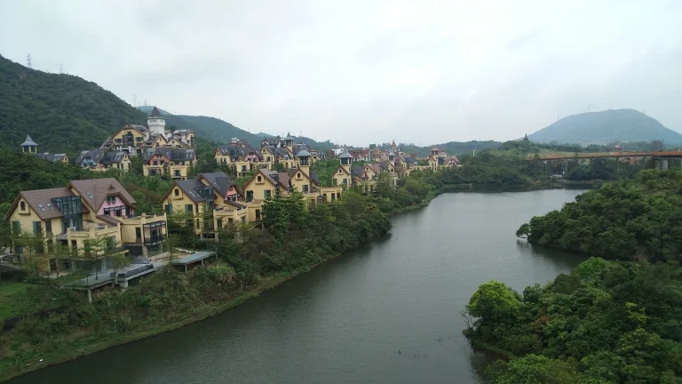 cum se bea ceaiul verde