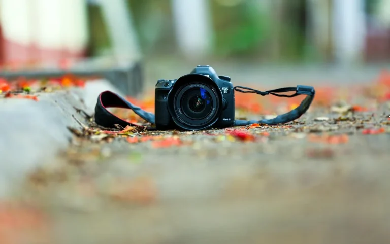 in cat timp isi face efectul panadol baby