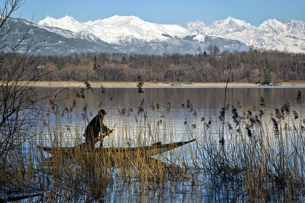 Pretul punctiei cu ac fin la tiroida: ce trebuie sa stii